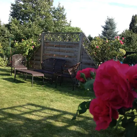 Apartment Ruhige 1 Zimmerwohnung Souterrain