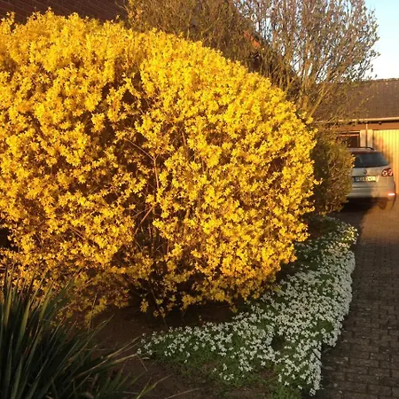 Ruhige 1 Zimmerwohnung Souterrain Apartment *